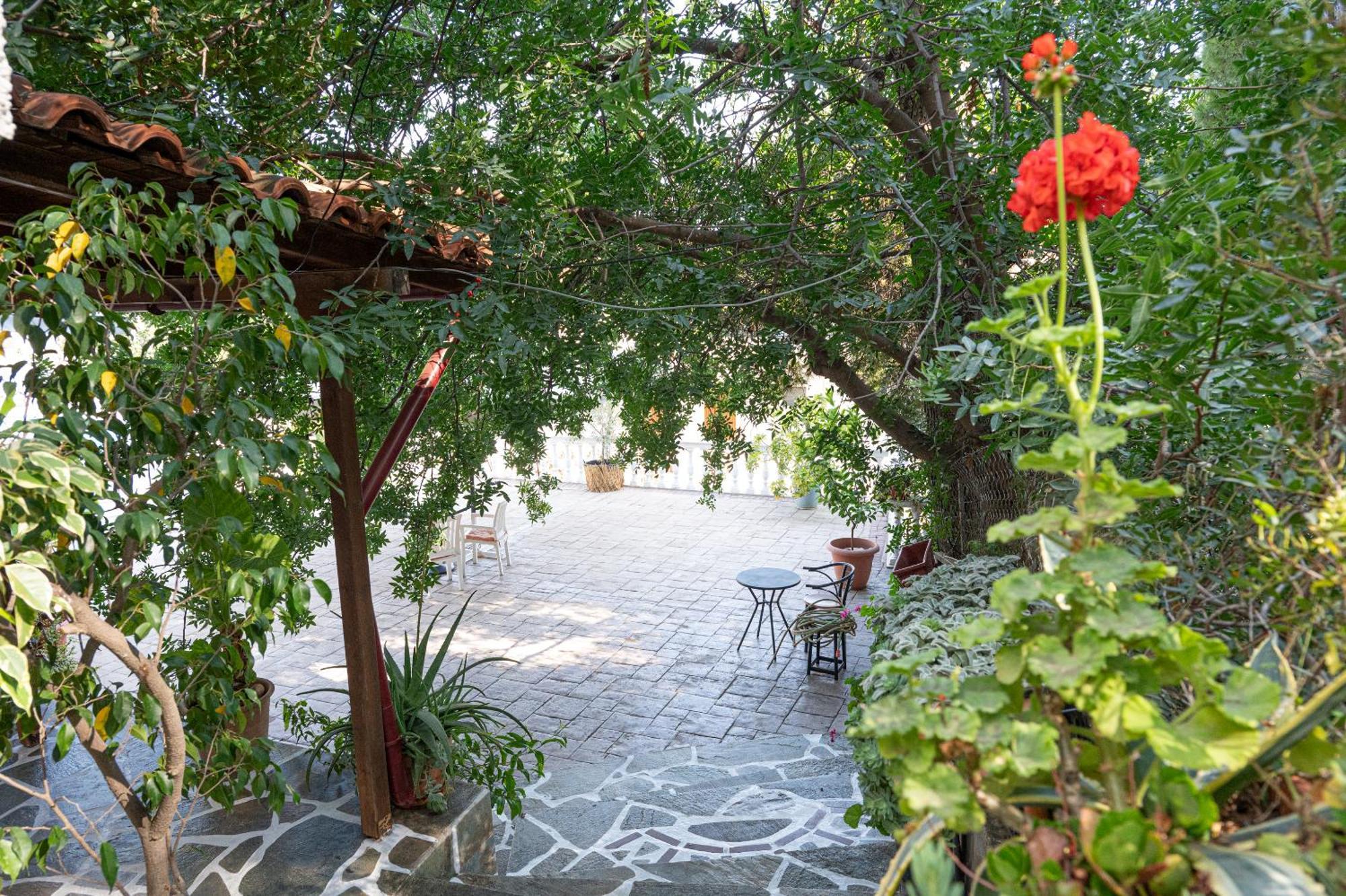 Lions 2 Studios & Apartments, Poros Island. Poros Town Luaran gambar